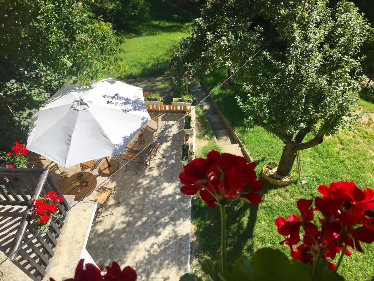 Bran&Breakfast Guest House Bran  Bagian luar foto